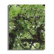Lush Green Canopy Nature Print Wall Art product