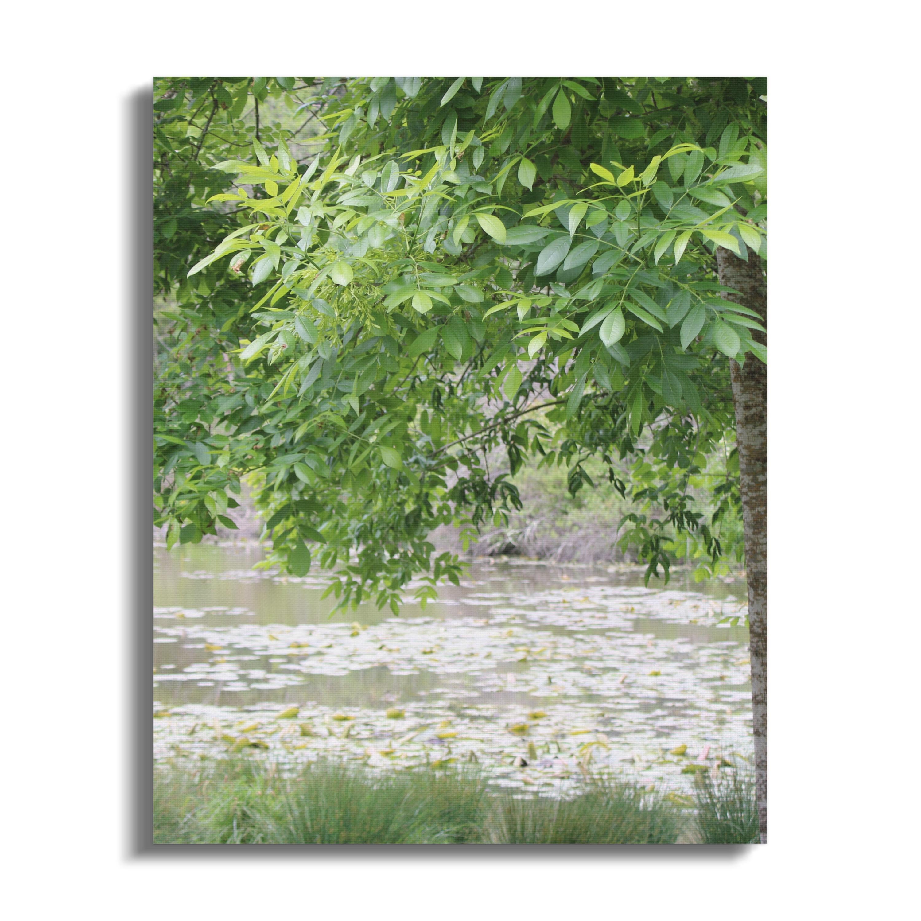 Serene Nature Scene With Pond Canvas Wall Art product