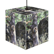 Raccoon peeking tree hollow forest nature product type