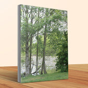 Serene Riverside Forest Landscape Wall Art product type