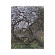 Dense Forest with Twisted Tree Branches Artwork Print