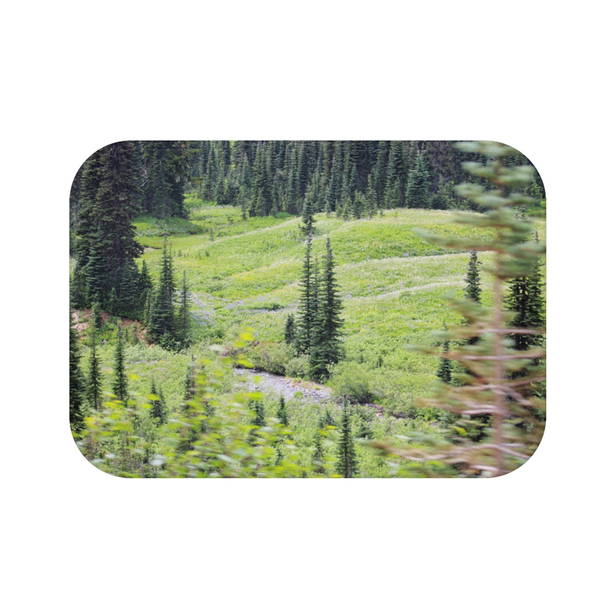 Serene Lush Green Forest Landscape Decoration Product