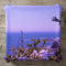 Pillow with a scenic ocean view of waves and rocky coastline.