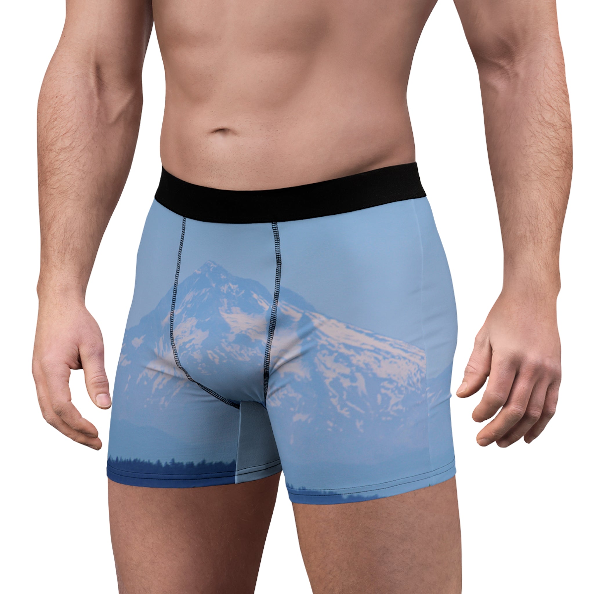 Men's light blue boxer briefs with a scenic mountain landscape print.