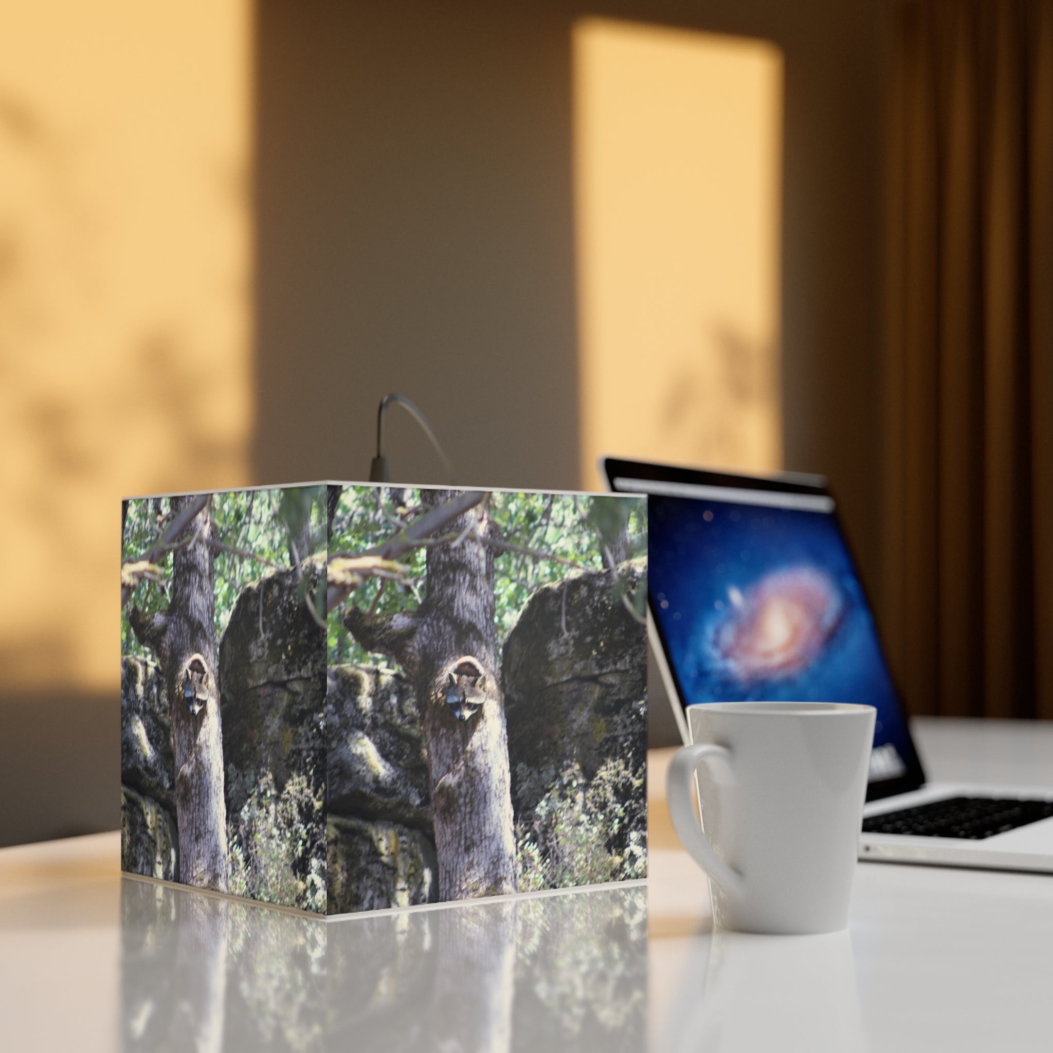 Raccoon peeking tree trunk rocks foliage nature scene product type