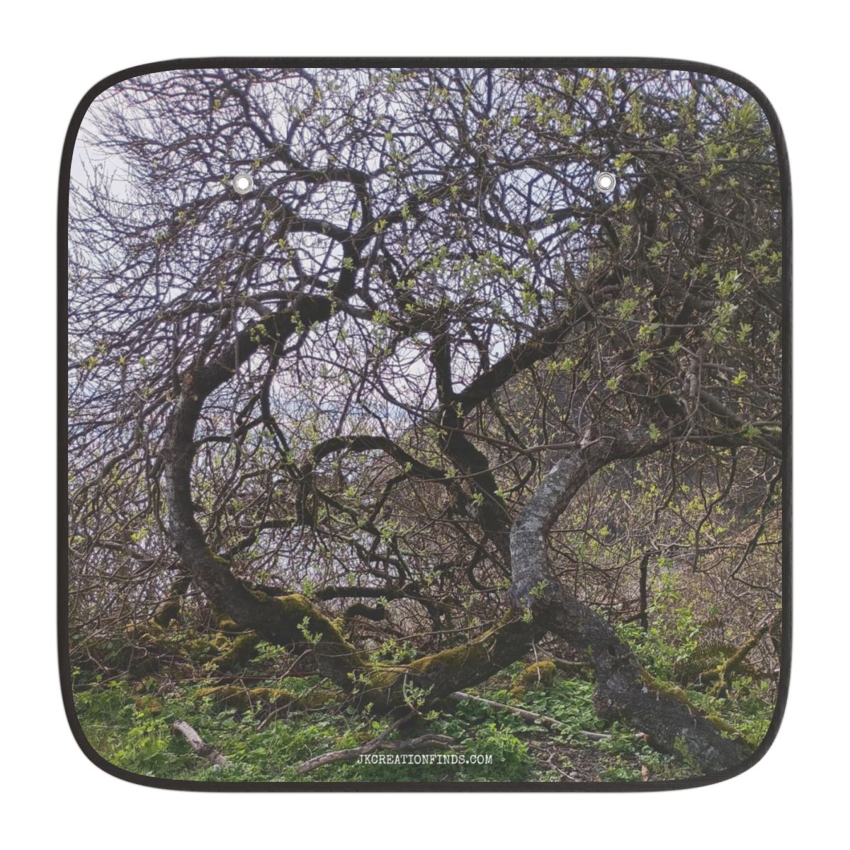 Dense Forest Branches Nature Scene Car Sunshade