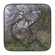 Dense Forest Branches Nature Scene Car Sunshade