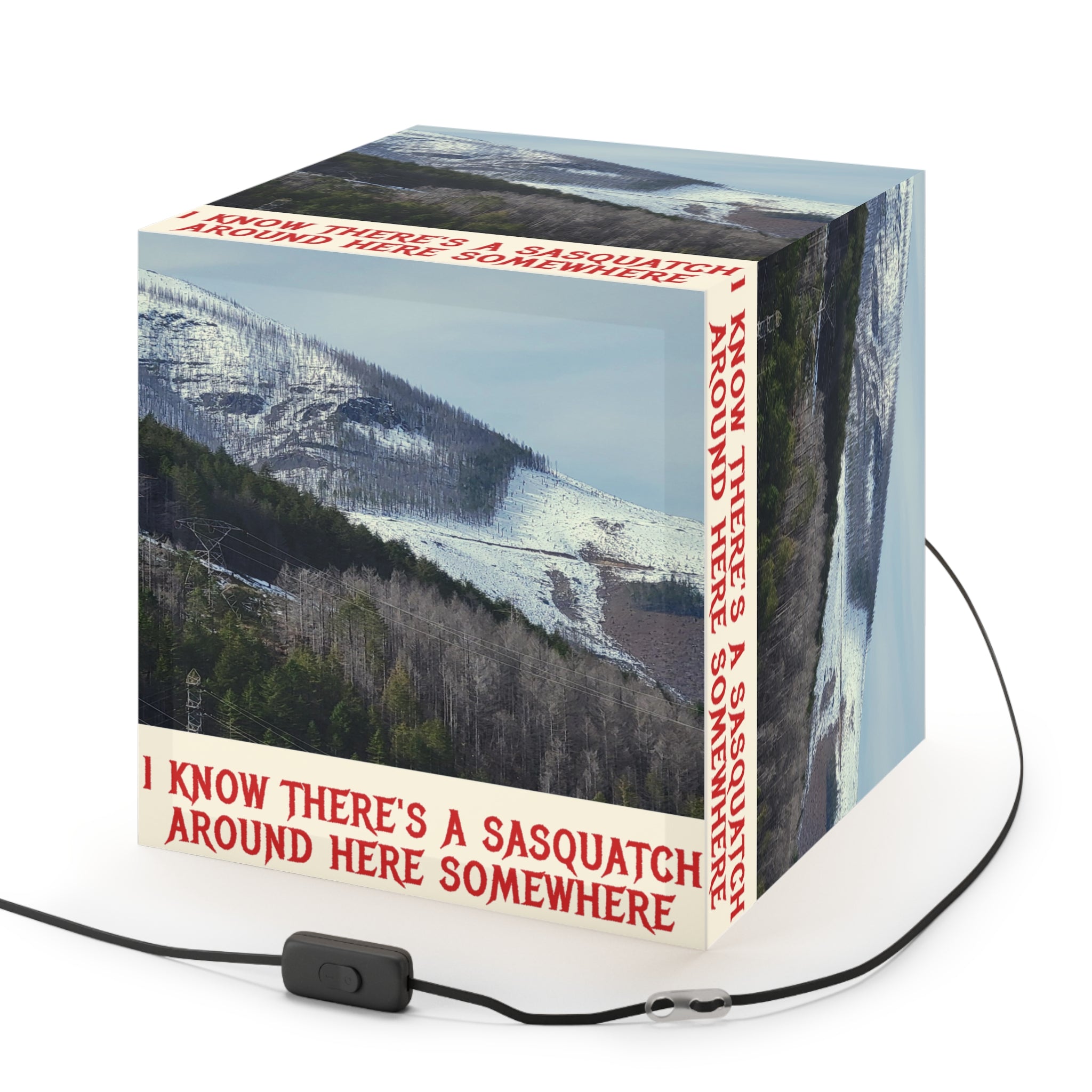 I KNOW THERE'S A SASQUATCH AROUND HERE SOMEWHERE product type