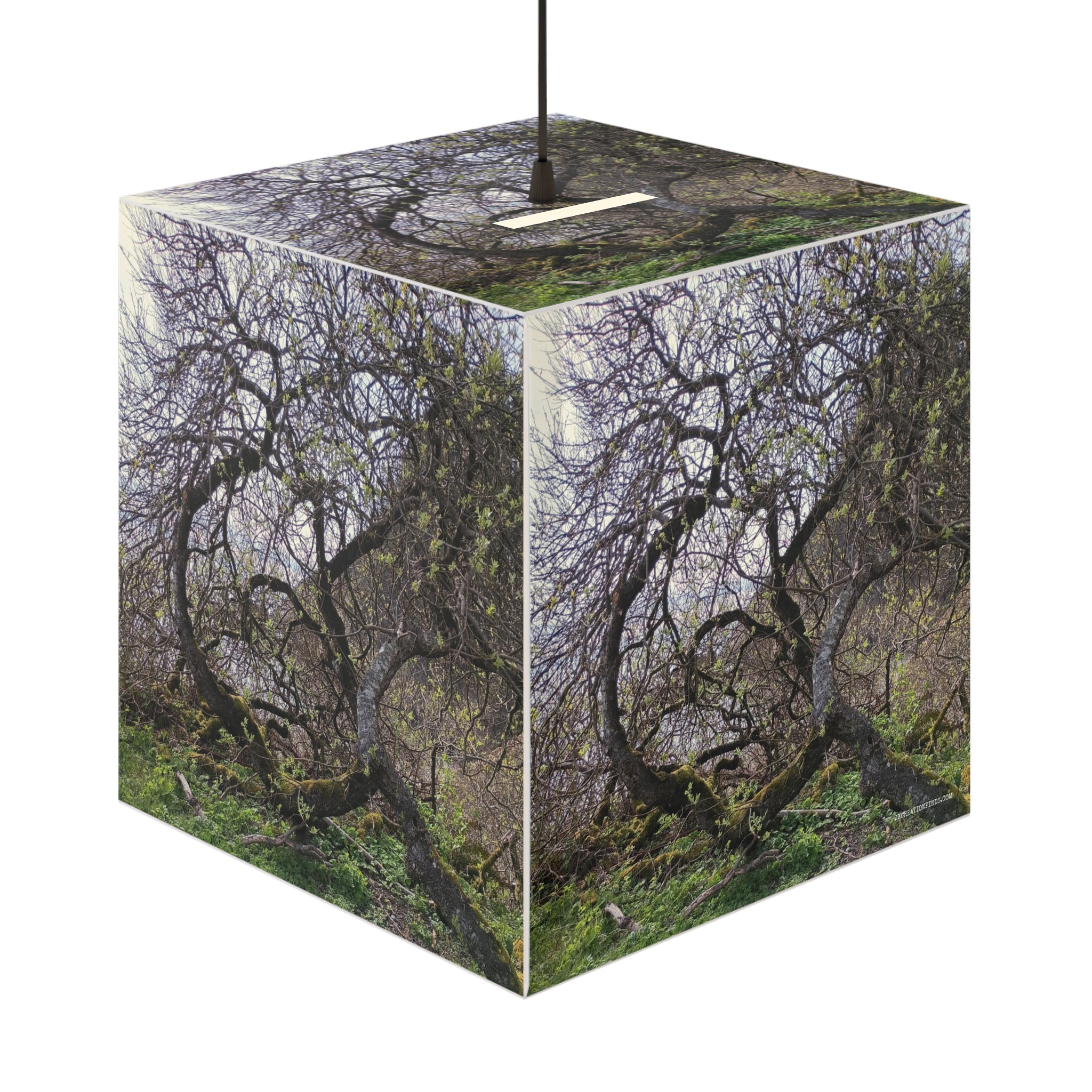 Twisted Branches Mossy Woodland Scene Lighting product type