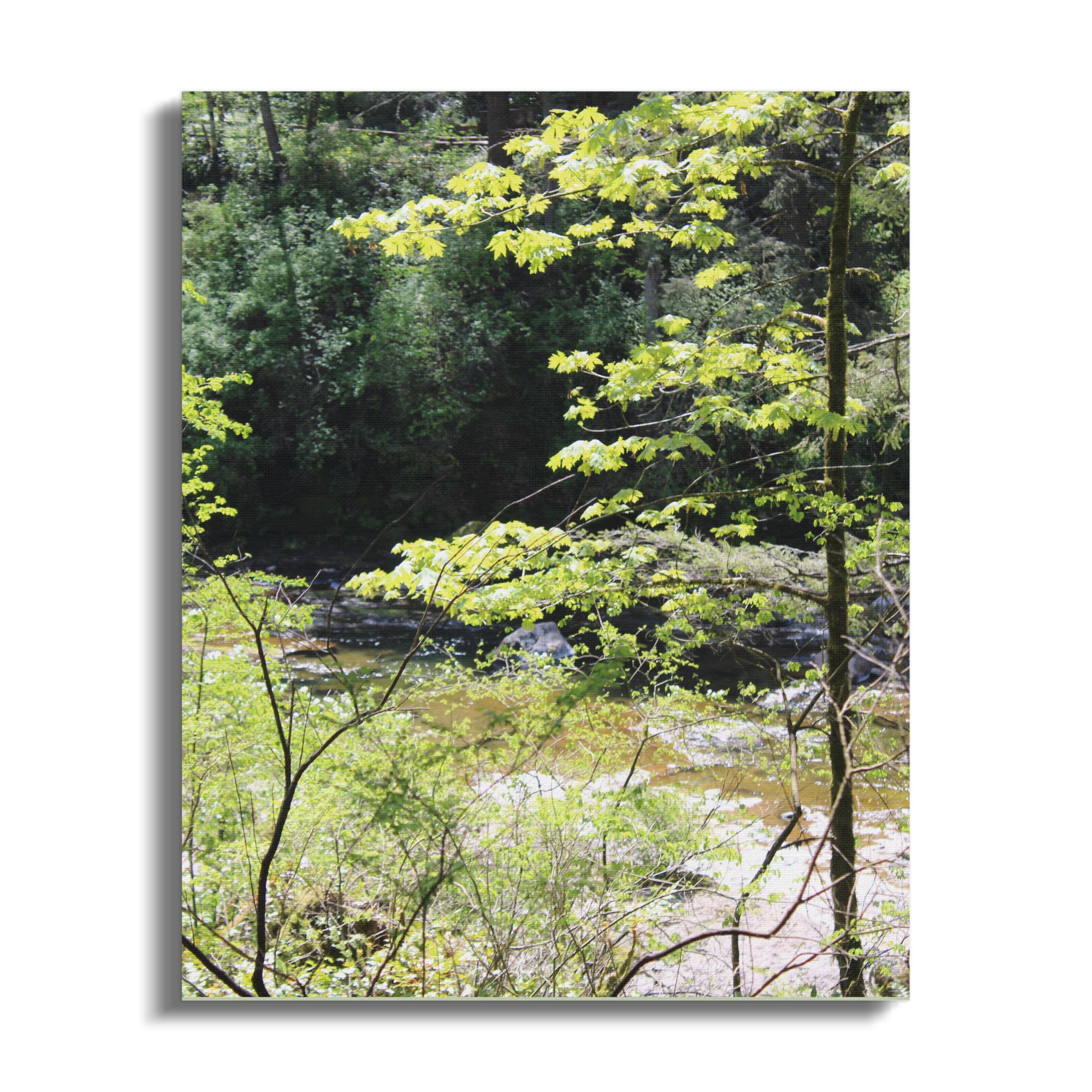 Tranquil Forest Creek Scene Nature Art Canvas product type