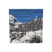 Seabirds Gathering on Rocky Shore Nature Scene