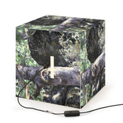 Raccoon wildlife scene illumined cube product type