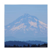 Snow-capped mountain range with blue forest in foreground.