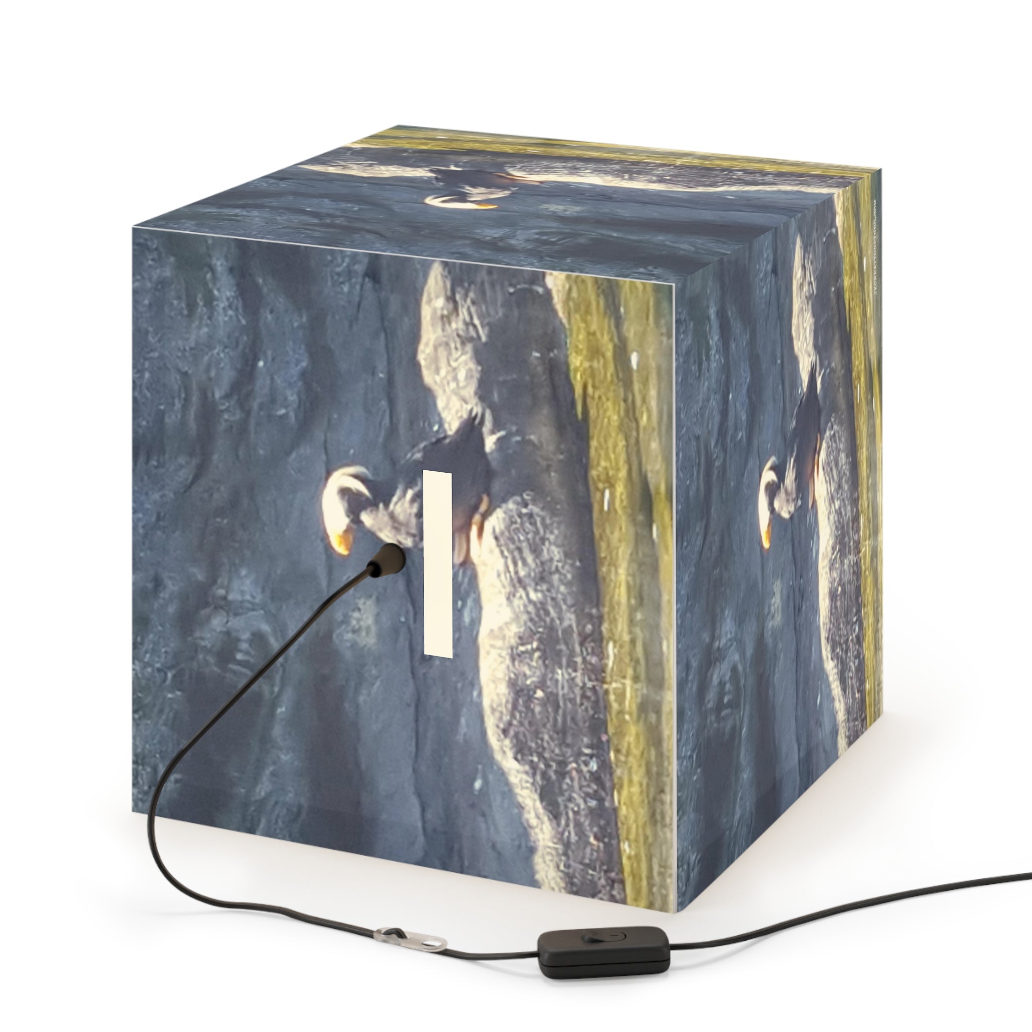 Puffin Bird Water Rock Light Box Illuminated product type