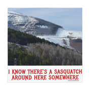 Red text on a snowy mountain background reads: I KNOW THERE'S A SASQUATCH AROUND HERE SOMEWHERE.