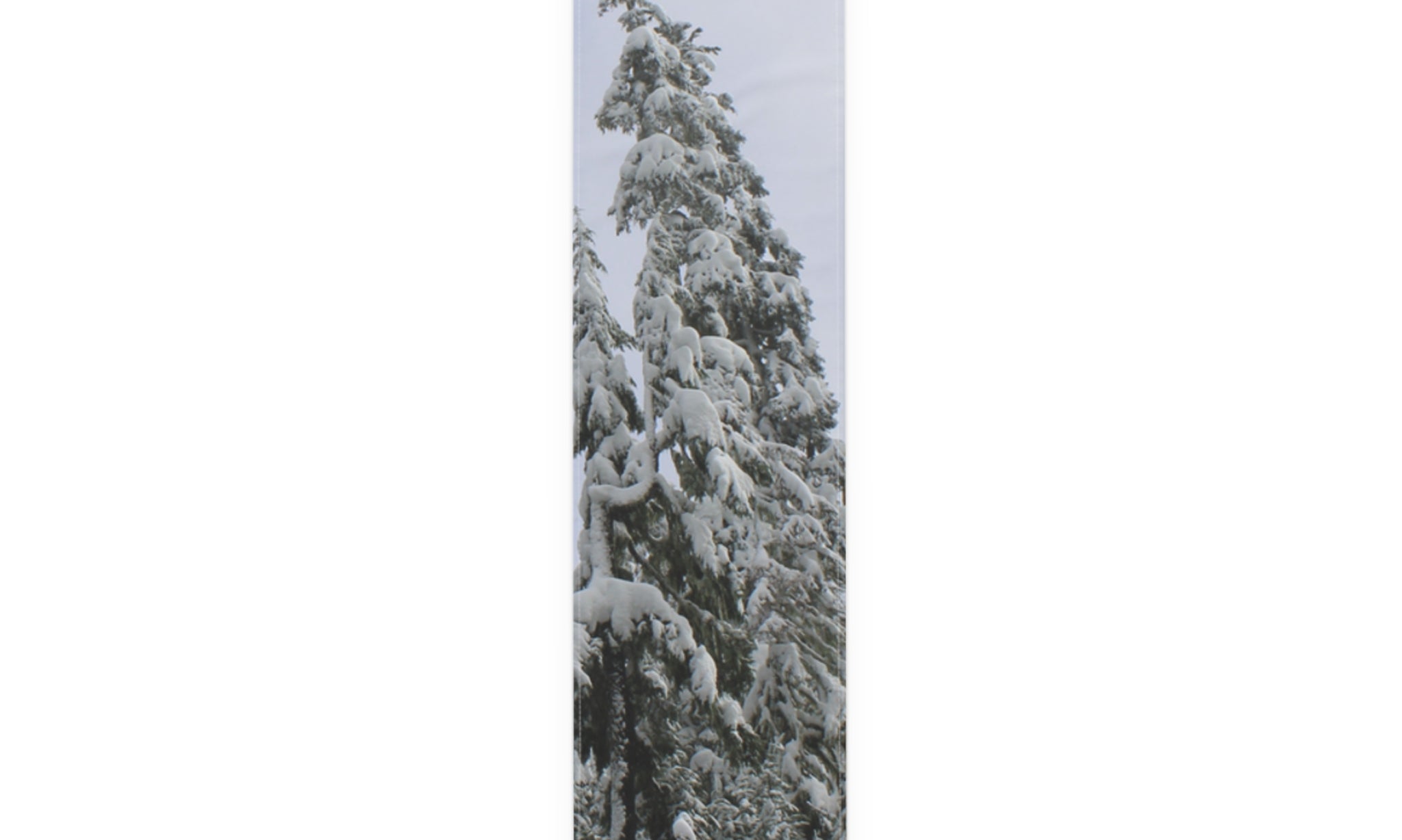 Tall evergreen tree covered in snow against a muted sky.
