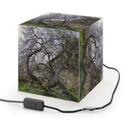 Gnarled Mossy Tree Branches Green Sprout Light Cube