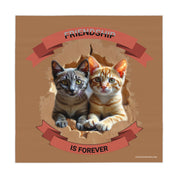 Two kittens peer through a torn cardboard cutout with "FRIENDSHIP IS FOREVER" text.