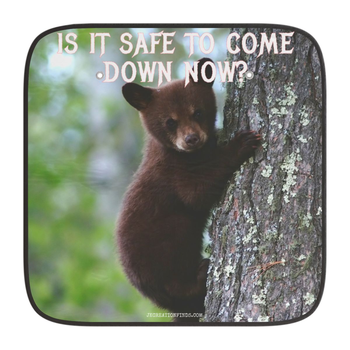 Cute Bear Cub Is It Safe To Come Down Now product type