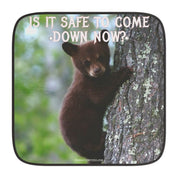 Cute Bear Cub Is It Safe To Come Down Now product type