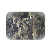 Enchanting Forest Scene Captured on a Beautiful product