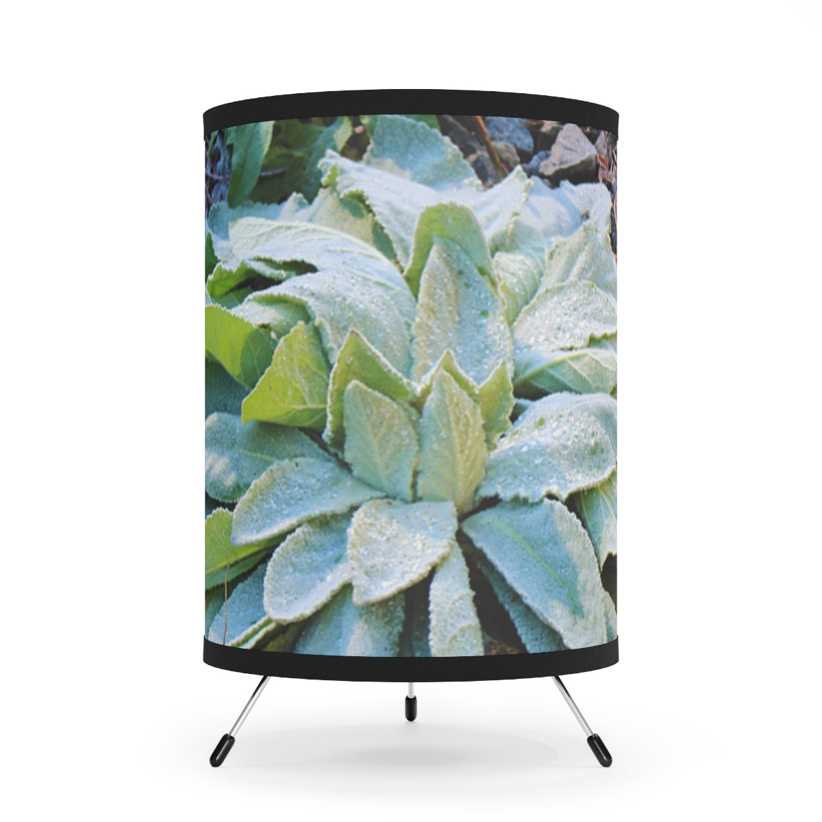 Frosty Dew on Green Leaves Drum Lamp Shade
