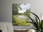 Serene Pond and Lush Greenery Wall Art product type