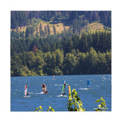 Windsurfers on a lake with a forest-covered hillside in the background.