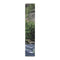 River scene with trees and rocks.