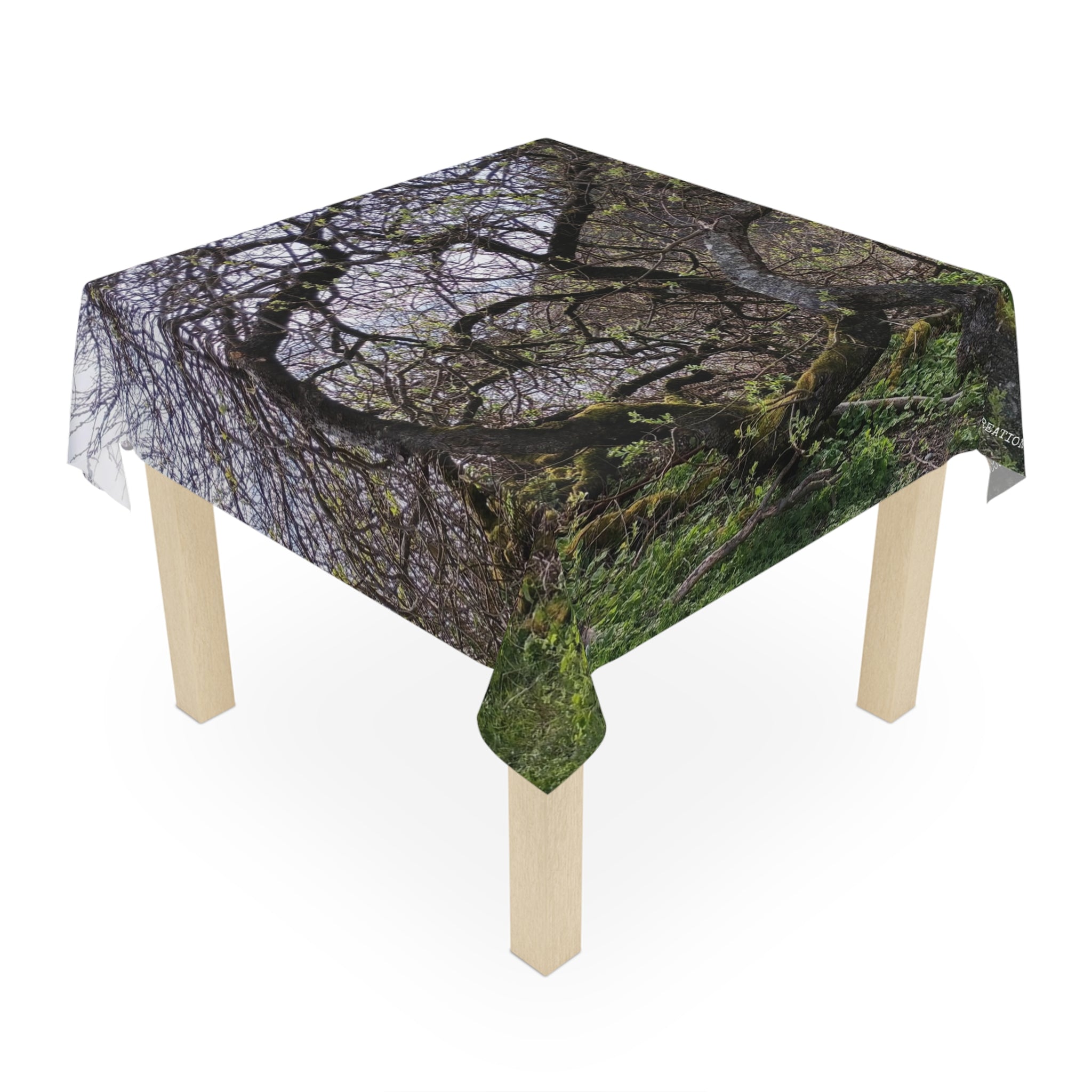 Green moss-covered tree branches draped over a square tablecloth.
