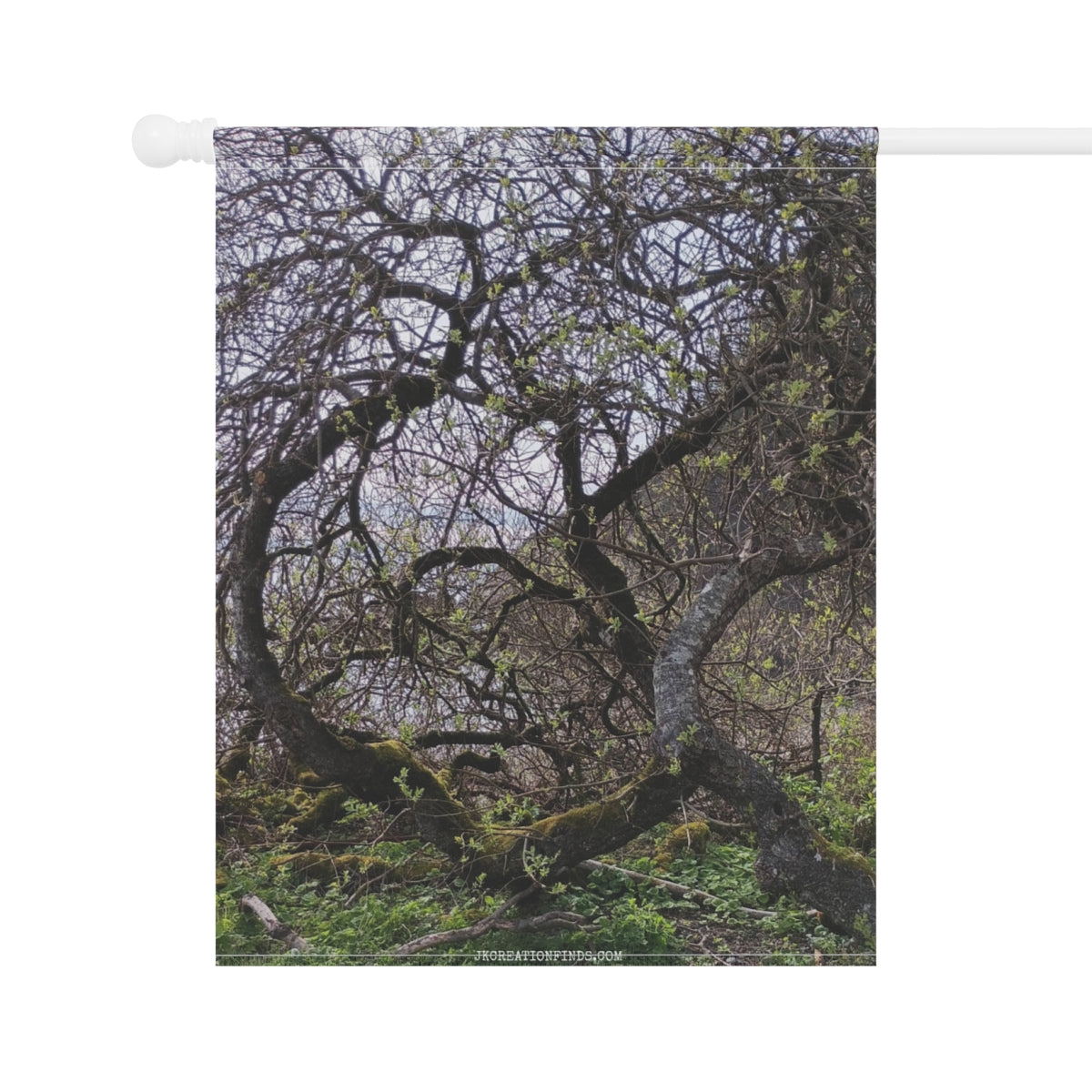 Enchanted Forest Trees Scenic Nature Wall Hanging Decor