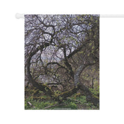 Enchanted Forest Trees Scenic Nature Wall Hanging Decor