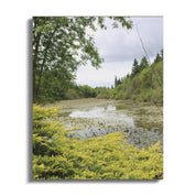 Serene Nature Lake View Landscape Wall Art product