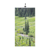 Scenic Evergreen Trees in Lush Valley Poster Artwork