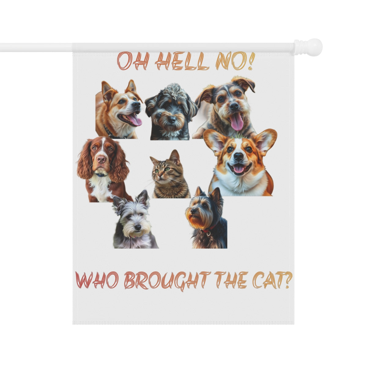 Oh Hell No Who Brought The Cat Funny Pet Product