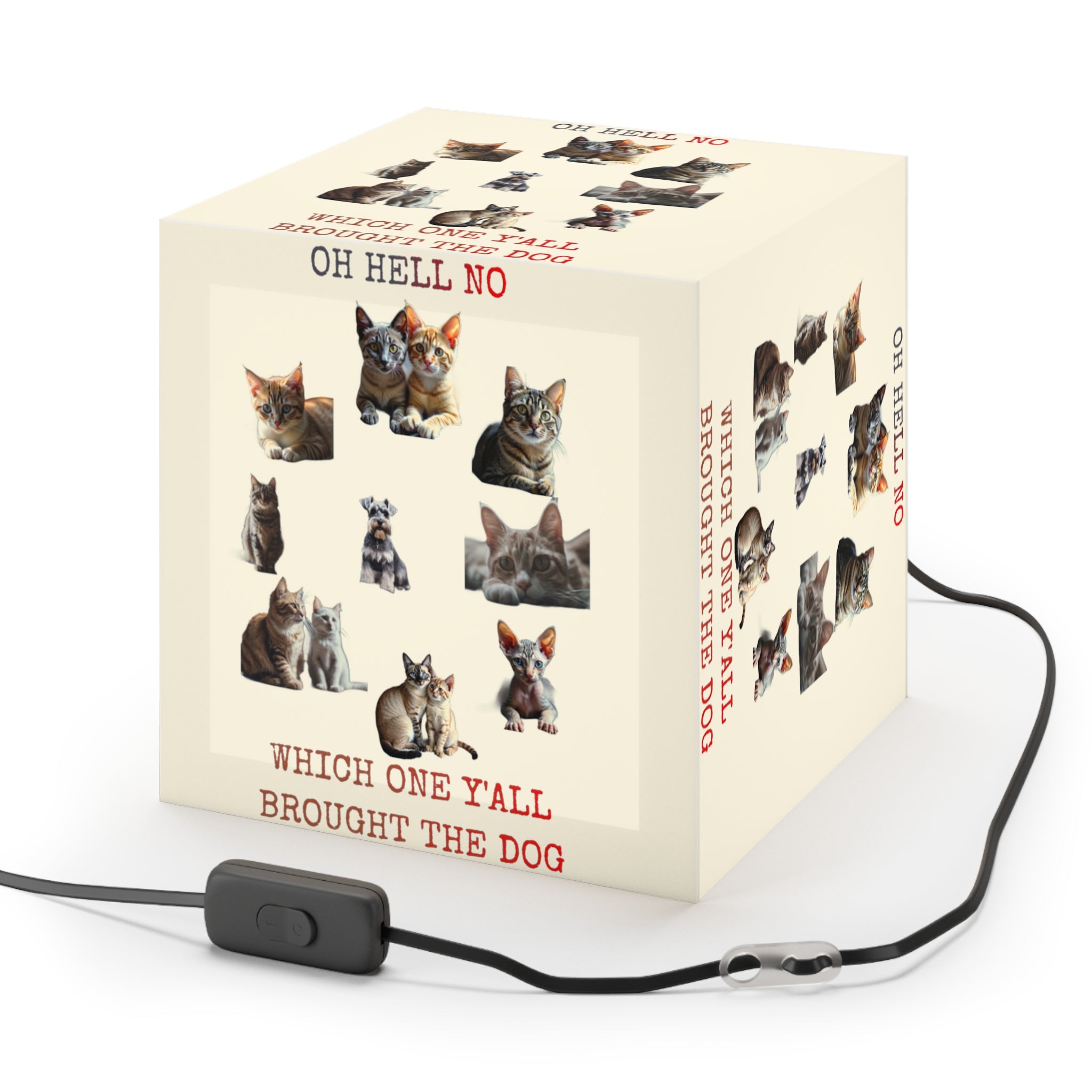 OH HELL NO WHICH ONE Y'ALL BROUGHT THE DOG Pet Box product type