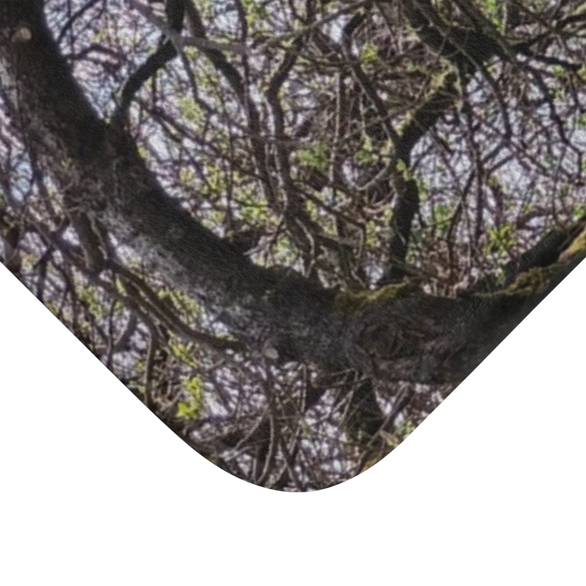 Scenic Tree Branches Landscape Nature Design Product
