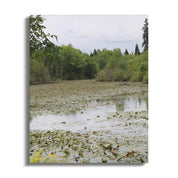 Peaceful Lily Pond Landscape Art Canvas product