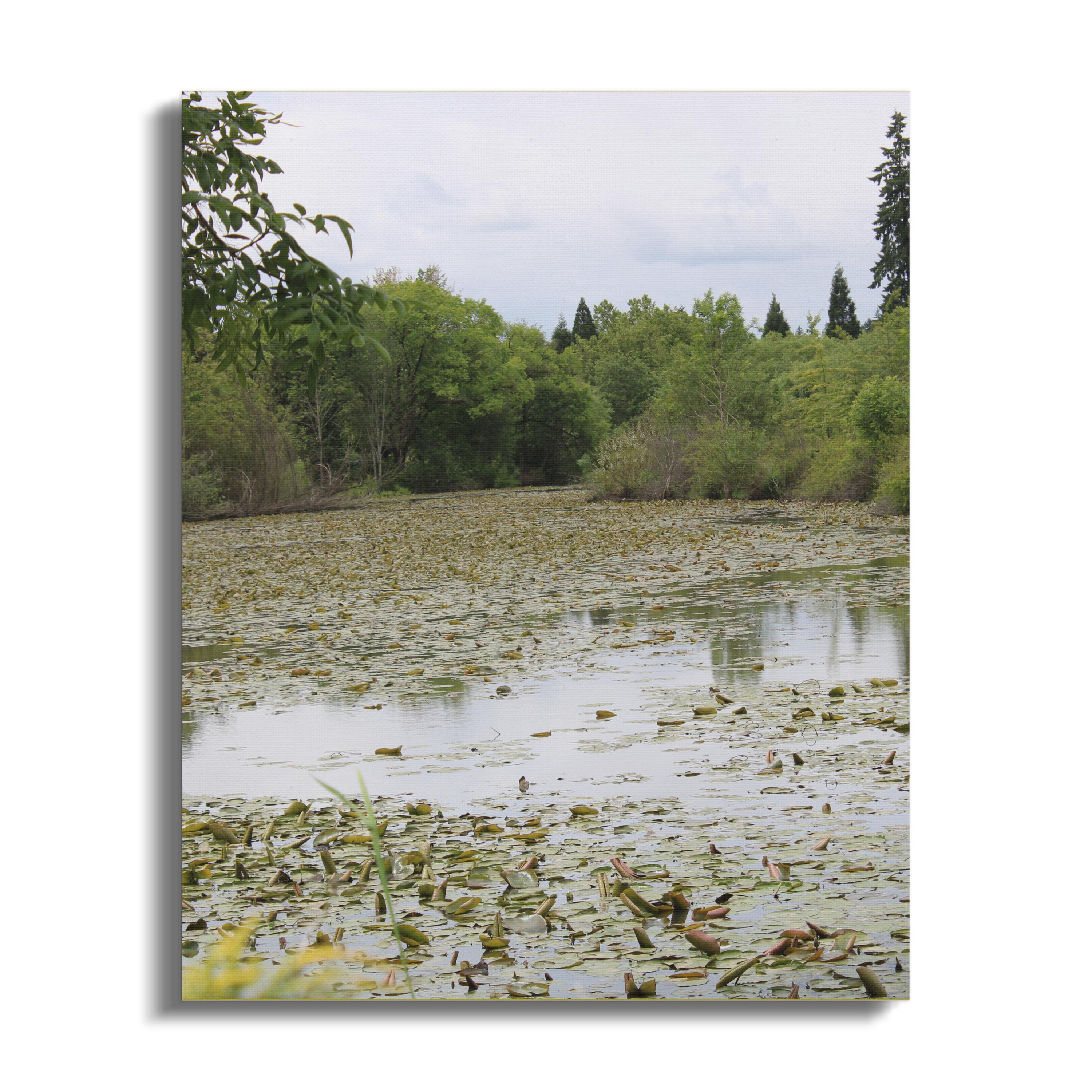 Peaceful Lily Pond Landscape Art Canvas product