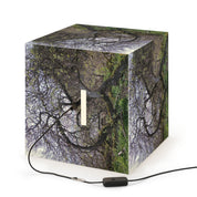 Gnarled Tree Branch Forest Scene Cube Lamp product type