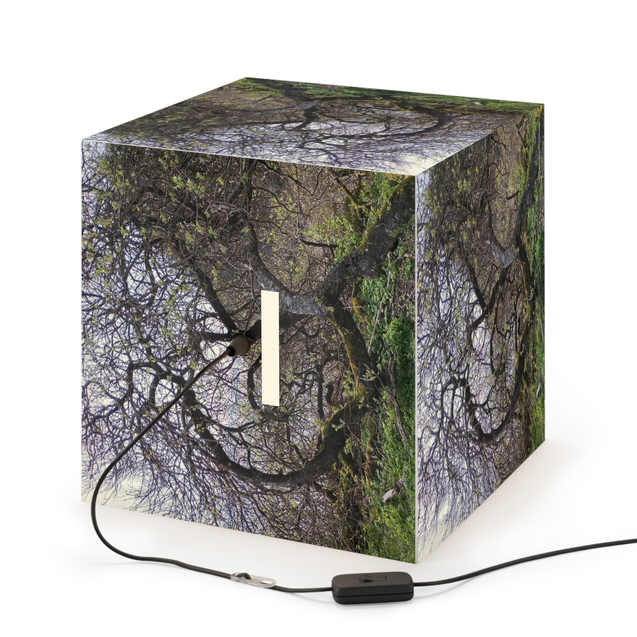 Gnarled Tree Branch Forest Scene Cube Lamp product type
