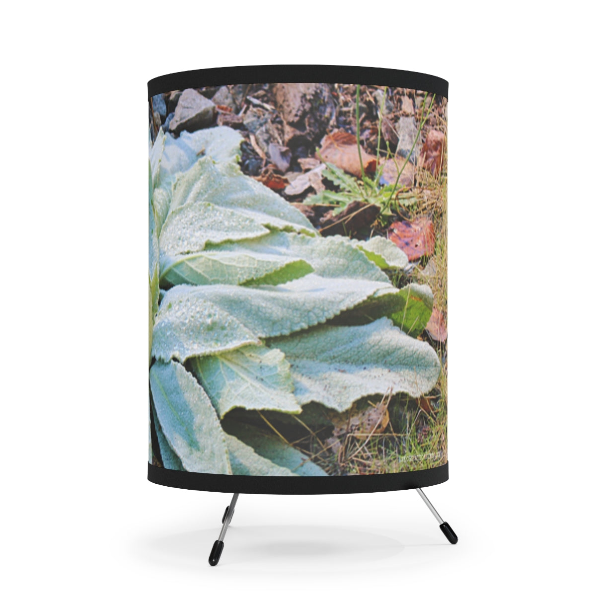 Decorative Lamp Magnificent Leaf Print