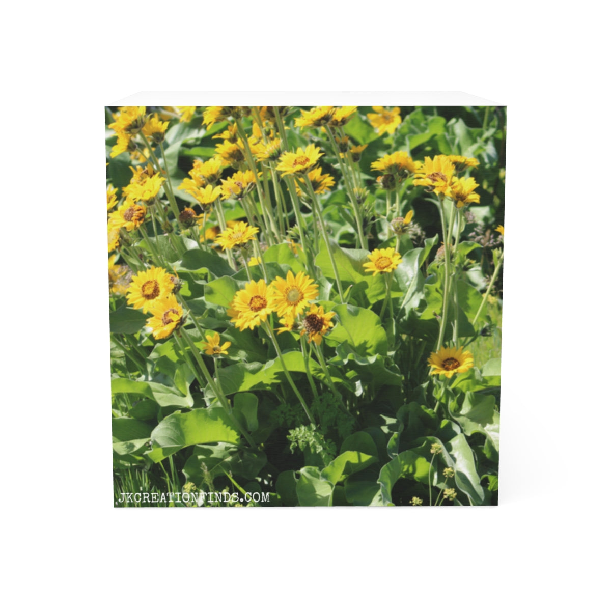 Bright Yellow Flowers in Garden Photography Print