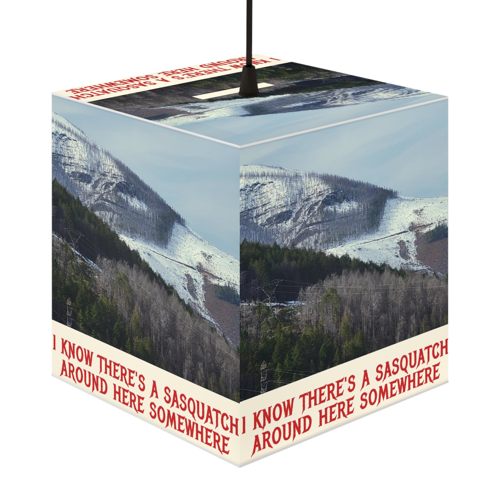 I KNOW THERE'S A SASQUATCH AROUND HERE SOMEWHERE Lampshade