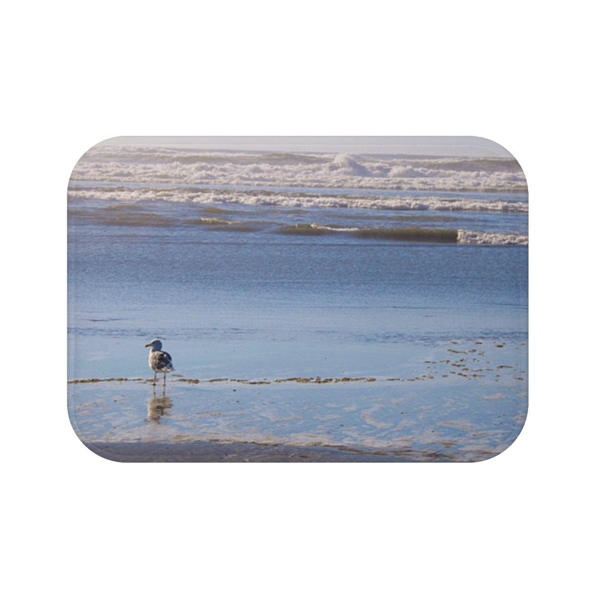 Seagull on the Beach with Waves Coastal Decor Item