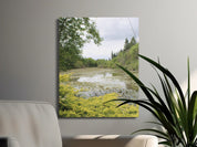 Serene Pond Scenic Nature Picture Wall Art product