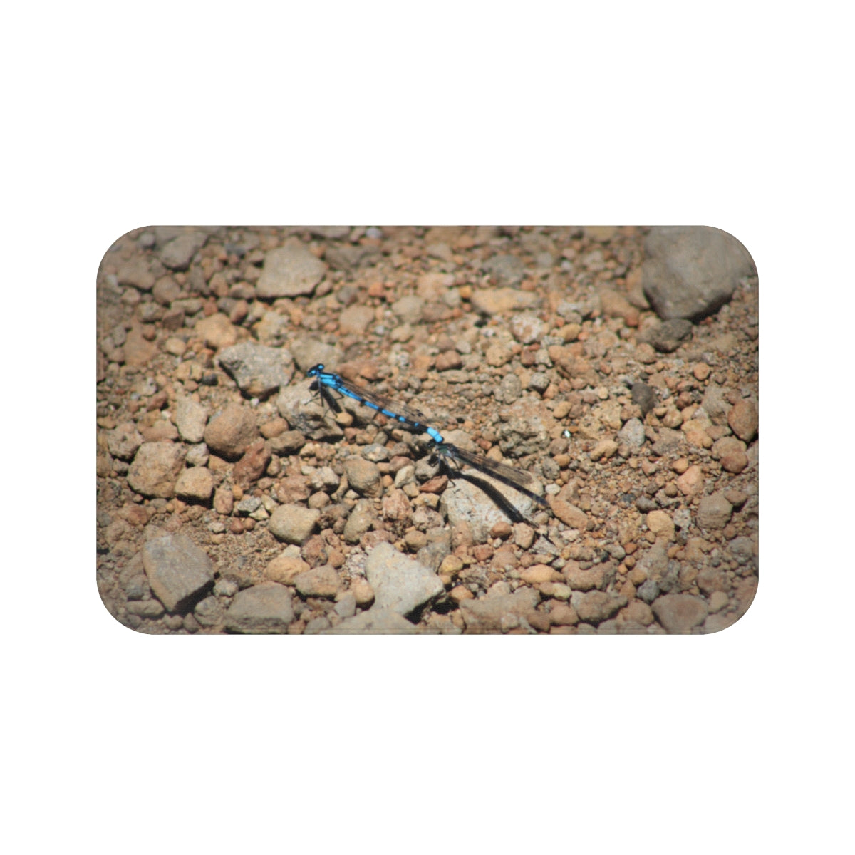 Beautiful Blue Dragonfly on Rocky Ground Bath Mat