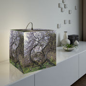 Twisted Forest Trees Mossy Branches Spring Growth product type