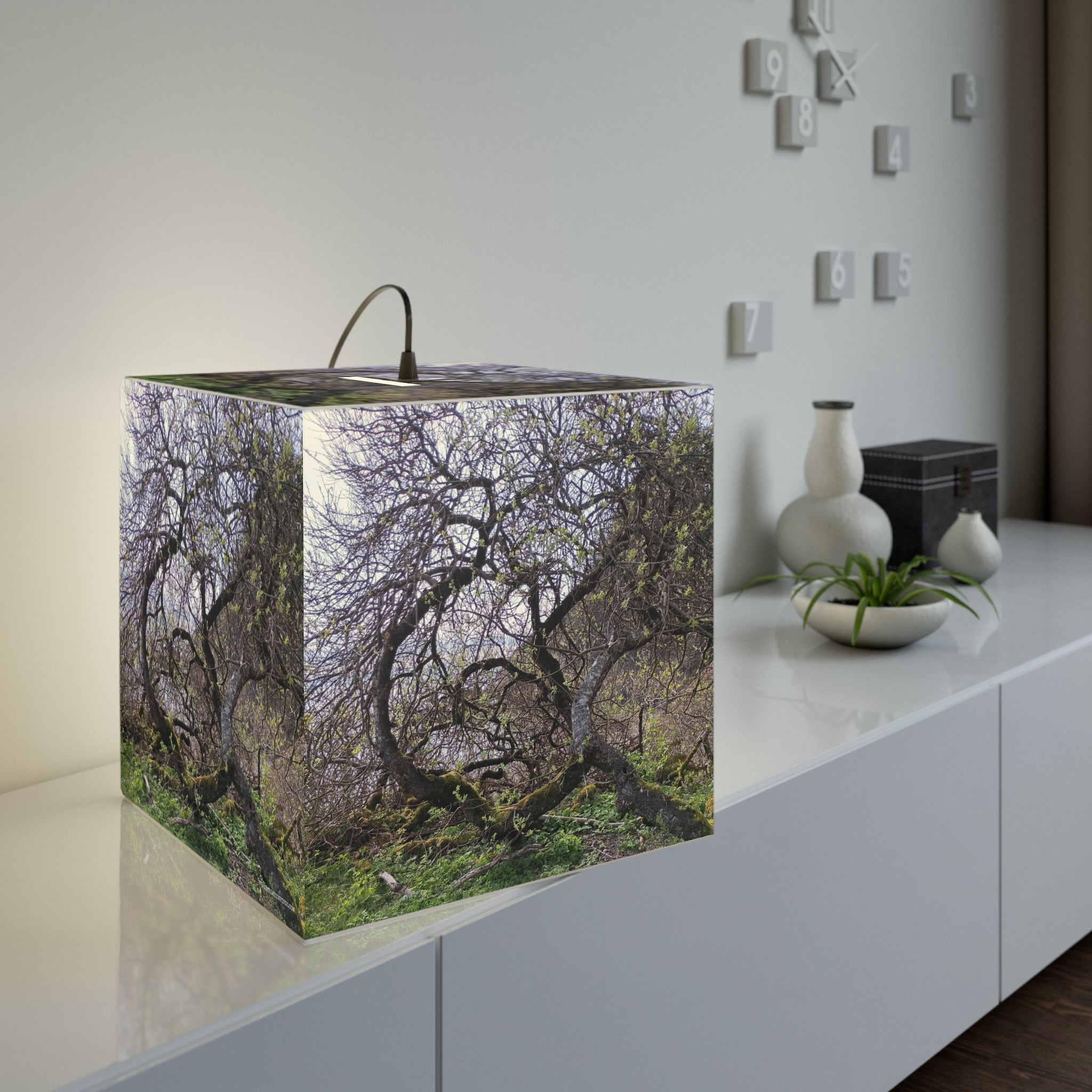 Twisted Forest Trees Mossy Branches Spring Growth product type