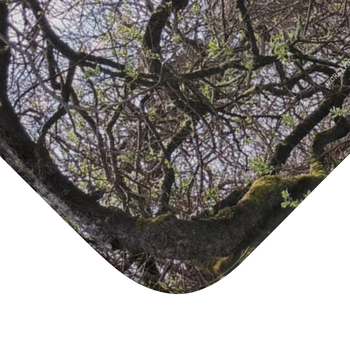 Scenic Forest Canopy with Moss Covered Branches product